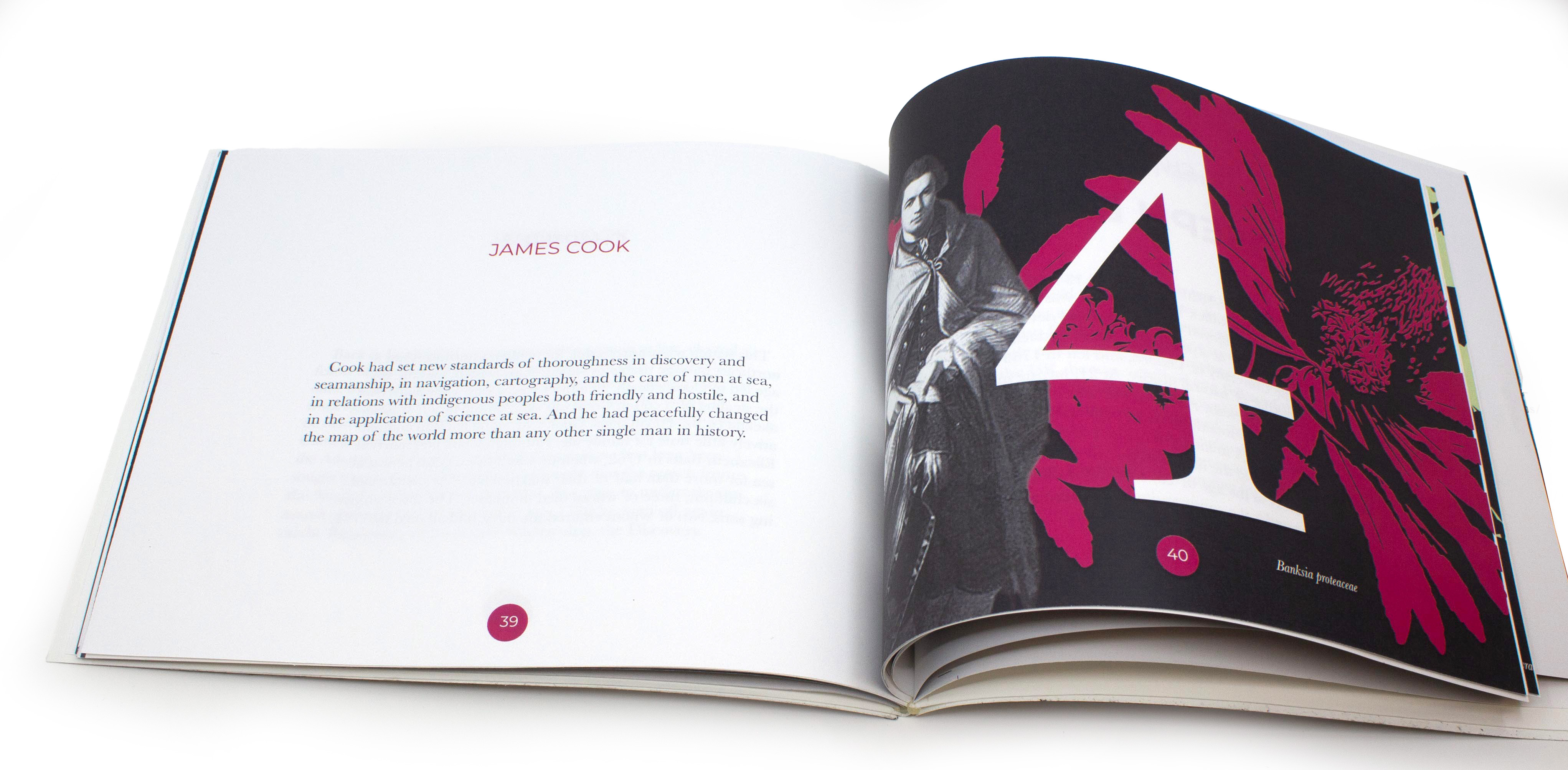 chapter 4 spread; the left page is titled james cook and the right has a large white number 4, magenta flowers, greyscale cutout of james cook all on a blue background