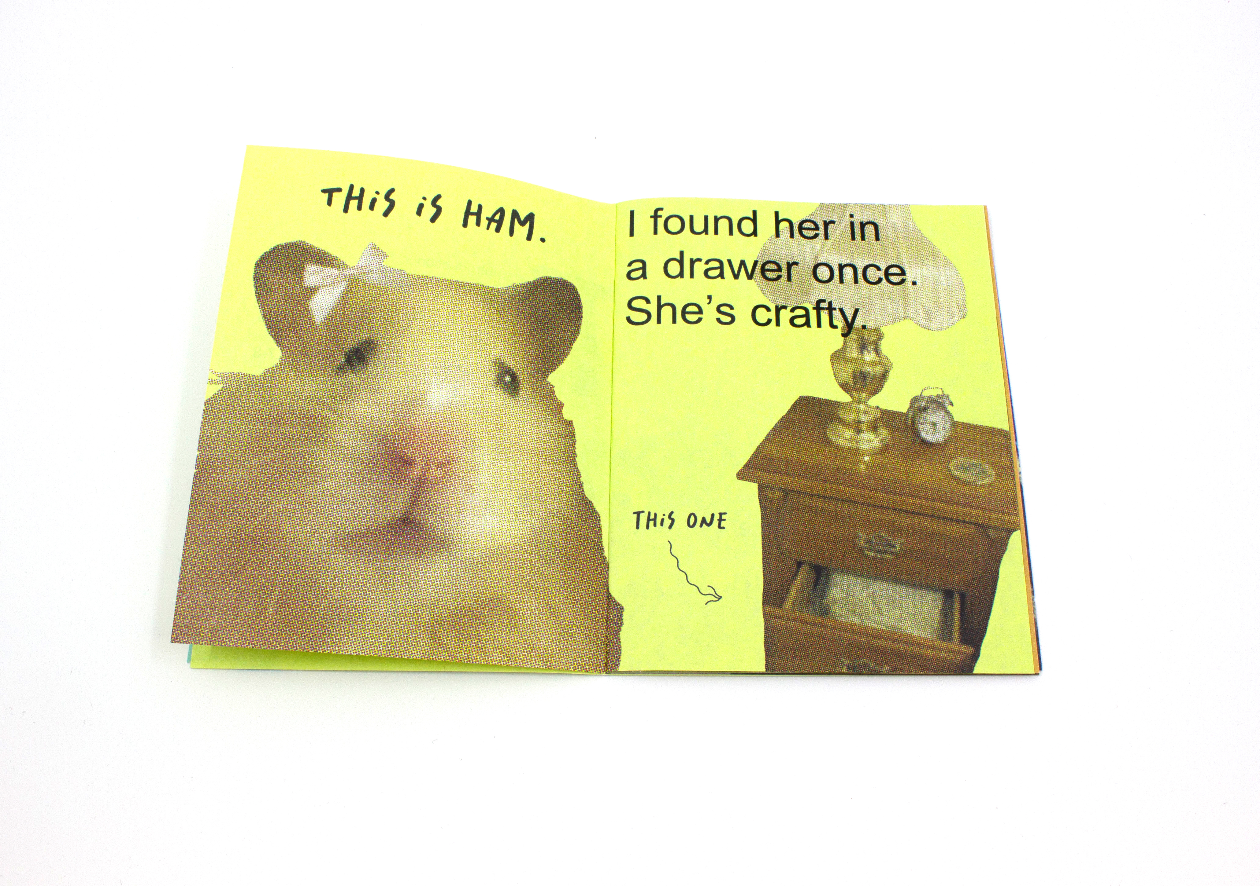 left page has a grainy halftone cutout of a hamster with a pink bow with text reading: this is ham above with the right page having a cut out bedside table drawer with text next to it that says: I found her in a drawer once, shes crafty and an arrow pointing to the open drawer saying this one all on a yellow background